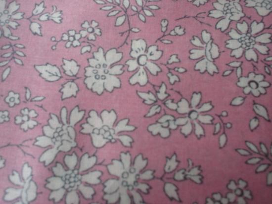 Capel rose